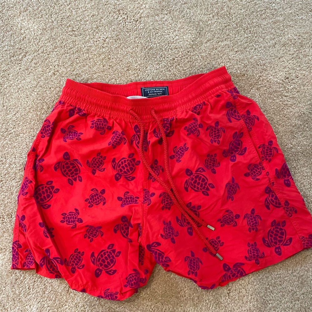 Men’s sea turtle swim trunks